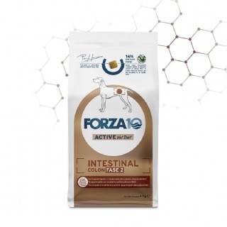 Forza 10 - Active VetDiet Intestinal Colon Fase 2 da 10 Kg