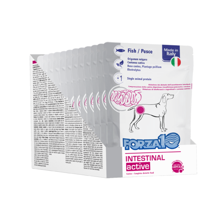 Forza10 Intestinal Active Cane al Pesce