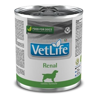Farmina Vet Life Canine Renal 300 g