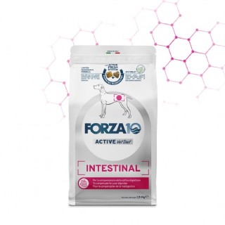 Forza 10 - Active VetDiet Intestinal da 10 kg