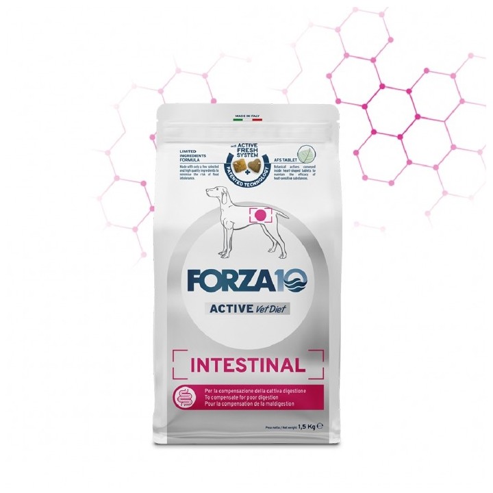 Forza 10 - Active VetDiet Intestinal da 10 kg