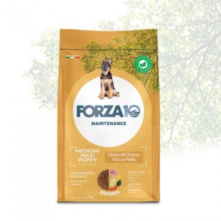 Forza 10 - Maintenance Puppy Medium/Maxi con Pollo e Patate da 12 Kg