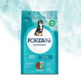 Forza 10 - Maintenance Adult Maxi con Pesce da 12 Kg