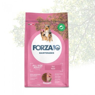 Forza 10 - Maintenance Adult All Size con Maiale da 12 Kg