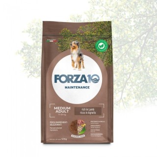 Forza 10 - Maintenance Adult Medium con Agnello da 12 Kg